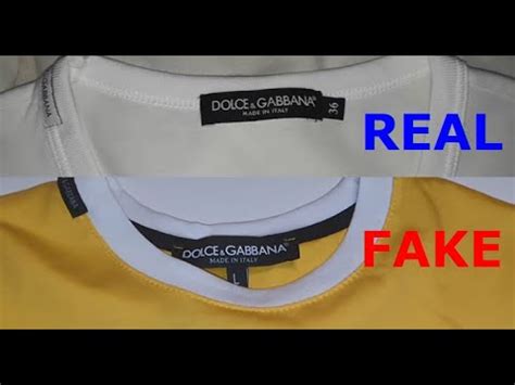 dolce gabbana t shirt fake|dolce gabbana poloshirt herren.